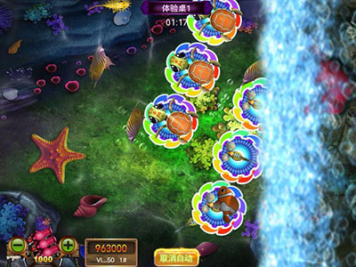 九代星力正版幸运六狮